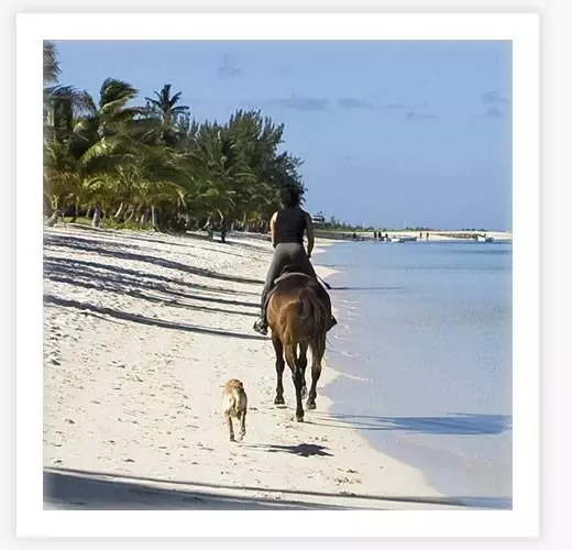 Horseback-Riding Horseback-Riding
