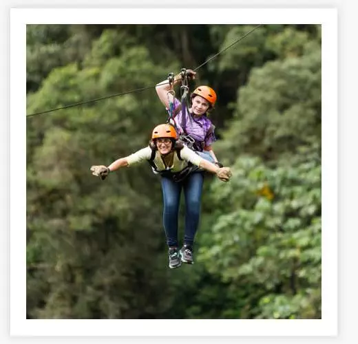 Zipline Zipline